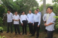 Xây dựng Cam Lộ trở thành huyện nông thôn mới đầu tiên của Quảng Trị