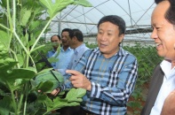 Quảng Trị với triển vọng từ chương trình mỗi xã một sản phẩm
