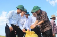 Quảng Trị: Mở rộng các mô hình nông nghiệp theo hướng hữu cơ organic