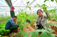 Quảng Trị sẽ triển khai 5 chuỗi cung ứng thực phẩm nông lâm thủy sản an toàn