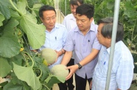 Quảng Trị lên kế hoạch nhân rộng các mô hình sản xuất nông nghiệp công nghệ cao
