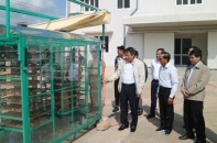 Quảng Trị: Đẩy nhanh tiến độ dự án nhà máy chế biến nông sản của doanh nghiệp FDI
