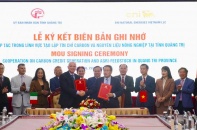 Quảng Trị và doanh nghiệp Italia hợp tác lĩnh vực tạo lập tín chỉ carbon
