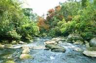 Vườn quốc gia Phong Nha - Kẻ Bàng đón hơn 836.000 lượt khách trong 9 tháng