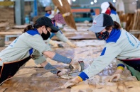 Quảng Trị: Thưởng Tết Nguyên đán cao nhất dự kiến 170 triệu đồng