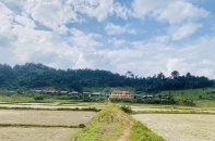 Quảng Trị có 3 khu vực sẽ tổ chức bầu cử sớm