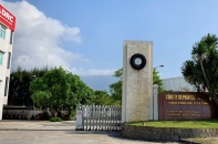 Cao su Đà Nẵng giải trình nguyên nhân giảm mạnh lợi nhuận năm 2025