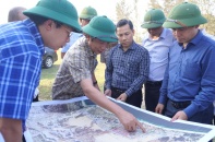 Tìm giải pháp “gỡ khó” dự án đường ven biển 600 tỷ đồng tại Quảng Trị