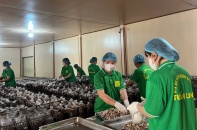 Quảng Trị đẩy mạnh xúc tiến thương mại, mở rộng thị trường giai đoạn 2026–2030