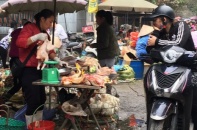 UBND TP.HCM yêu cầu kiểm soát, ngăn dịch cúm H5N1 bùng phát