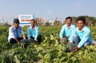 Vụ doanh nghiệp kêu cứu vì Hải quan áp thuế: Hải quan đề nghị xin xác nhận từ Bộ Nông nghiệp