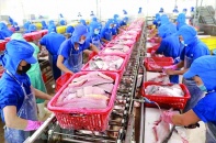 Xuất khẩu thuỷ sản sang Nga có dấu hiệu khởi sắc   