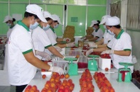 Cảnh báo việc gia tăng doanh nghiệp Việt không đáp ứng được yêu cầu SPS  