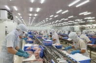 Muốn tăng trưởng xuất khẩu vào EU, doanh nghiệp Việt phải "xanh và bền vững" 
