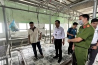 Không khởi tố hình sự liên quan tố cáo C.P. Việt Nam vi phạm an toàn thực phẩm