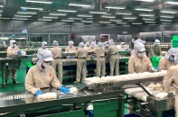 TP.HCM: Doanh nghiệp thành lập mới giảm nhẹ