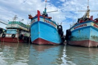 TP.HCM sẽ xử lý nghiêm ngư dân vi phạm IUU