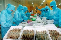 TP.HCM công bố các ngành hàng, sản phẩm được ưu tiên hỗ trợ sản xuất, tiêu thụ