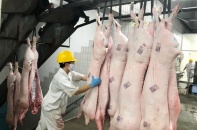 TP.HCM: Tạo chính sách đặc thù để thu hút đầu tư lĩnh vực chăn nuôi, giết mổ