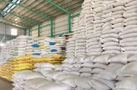 TP.HCM ứng phó với biến động cung cầu gạo do xung đột địa chính trị, xăng dầu