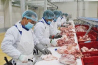 TP.HCM: Quản lý chuỗi cung ứng thực phẩm của doanh nghiệp bằng hệ thống truy xuất nguồn gốc