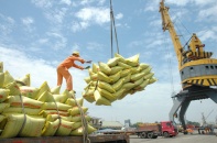 TP.HCM: Tuyệt đối không để ách tắc hồ sơ doanh nghiệp xuất khẩu gạo thơm sang EU 