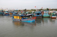 TP.HCM: Tổ chức tháng cao điểm khắc phục khuyến cáo của EC về IUU
