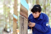 Công ty nông nghiệp của Bầu Đức lên sàn ngày 20/7