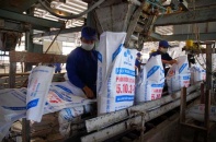 LAS đã hoàn thành 59% kế hoạch doanh thu năm 2015