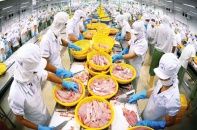 Tiếp tục tháo gỡ khó khăn cho xuất khẩu nông lâm thủy sản