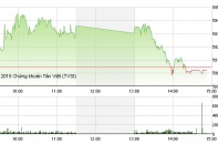 Phiên 21/10: Dòng tiền ngập ngừng, VN-Index về sát 590 điểm