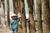 2 cổ phiếu cần quan tâm ngày 15/1