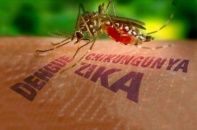 Chủ động phòng, chống dịch bệnh do virus Zika