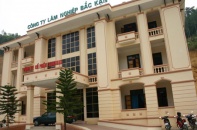 Nhà nước duy trì tỷ lệ sở hữu 100% tại Công ty Lâm nghiệp Bắc Kạn
