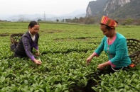 Làm rõ phạm vi Chương trình Mục tiêu quốc gia giảm nghèo bền vững