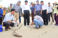  Kiểm tra thông tin “Nghi vấn ống xả thải khổng lồ dưới biển Vũng Áng”