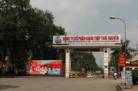 Báo cáo Thủ tướng phương án xử lý Dự án Gang thép Thái Nguyên trước 1/7