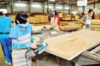 5 cổ phiếu cần quan tâm ngày 16/5