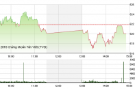 Phiên 6/6: VNM giảm 3.000 đồng/CP, VN-Index đóng cửa trong sắc đỏ