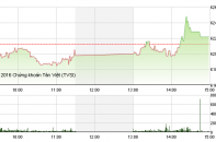 Phiên 28/6: VNM dậy sóng
