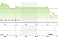 Phiên 11/7: VCG "đo sàn", VN-Index xuống sát 650