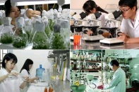 Hỗ trợ ươm tạo doanh nghiệp khoa học công nghệ