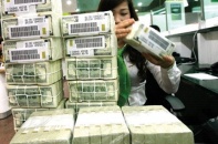 Sẽ tạm dừng phê duyệt chủ trương cấp bảo lãnh cho các dự án mới từ năm sau