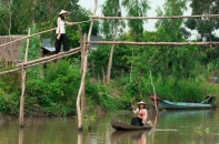 Phó thủ tướng yêu cầu sớm xóa bỏ cầu khỉ tại vùng Đồng bằng sông Cửu Long