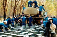 3 cổ phiếu cần quan tâm ngày 18/11