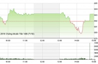 Phiên 23/11: ROS đảo chiều ngoạn mục, VN-Index thoát hiểm