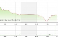 Phiên 28/11: Ngày kỷ niệm buồn