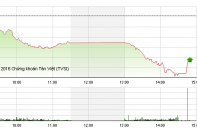 Phiên 6/12: Cổ phiếu đầu cơ đua nhau giảm sàn
