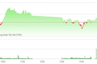 Phiên chiều 22/2: GAS, SAB, ROS giúp VN-Index "thoát hiểm"