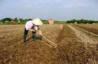 Chuyển mục đích sử dụng đất tại Nam Định và Hải Dương